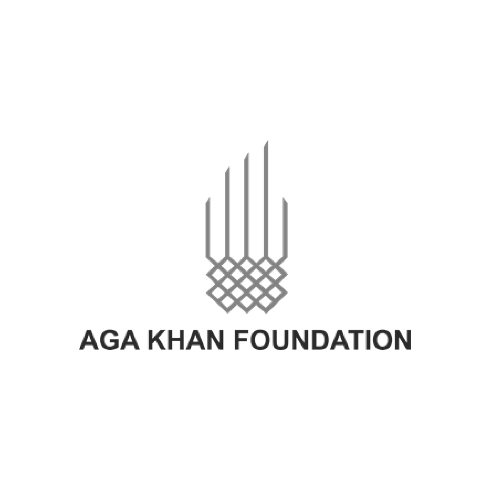 Aga Khan Foundation Logo