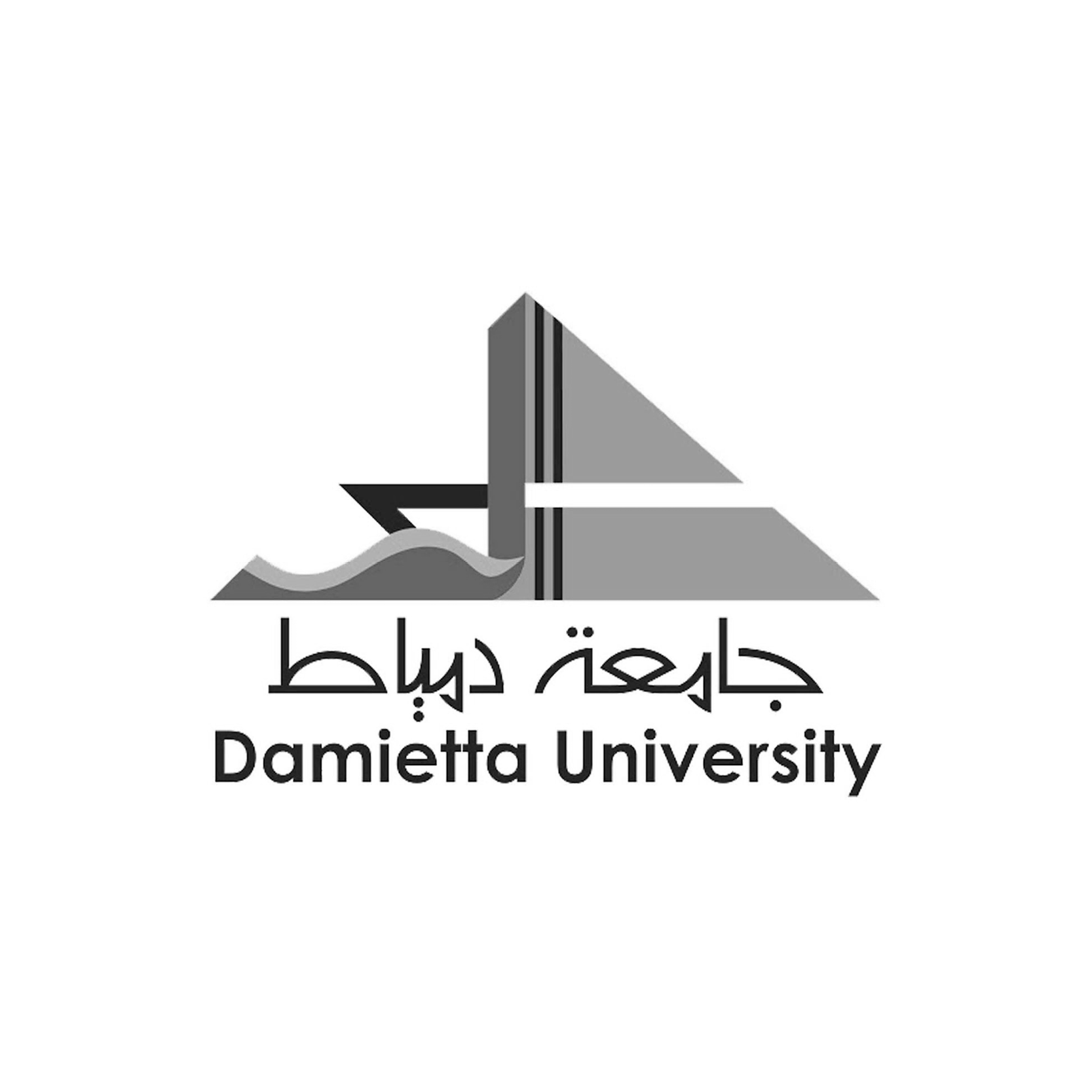 Damietta University Logo